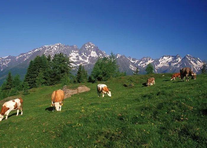 Regine Haus Kmb Seeblick Am Ossiachersee, Hallenbad, Skiarena Gerlitzen * 博登斯多夫